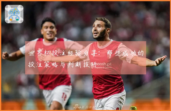 世界杯投注经验分享：那些成功的投注策略与判断技巧