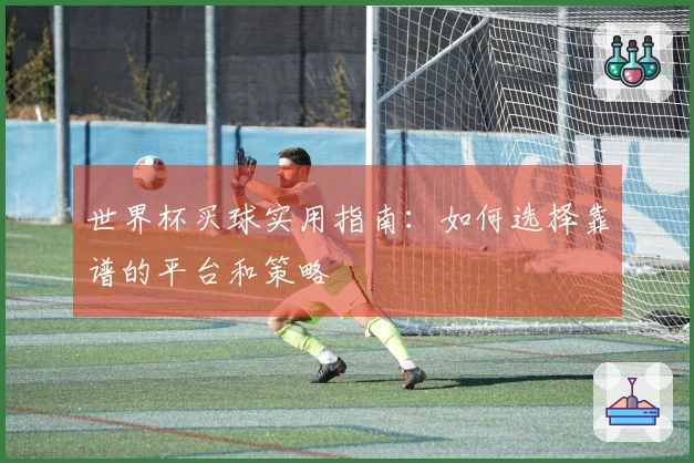 世界杯买球实用指南：如何选择靠谱的平台和策略