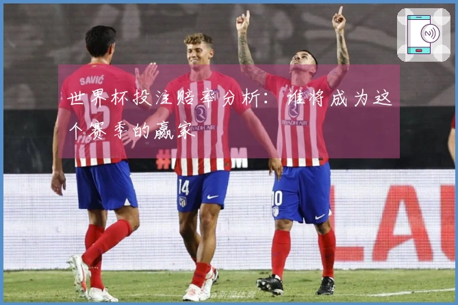 世界杯投注赔率分析：谁将成为这个赛季的赢家