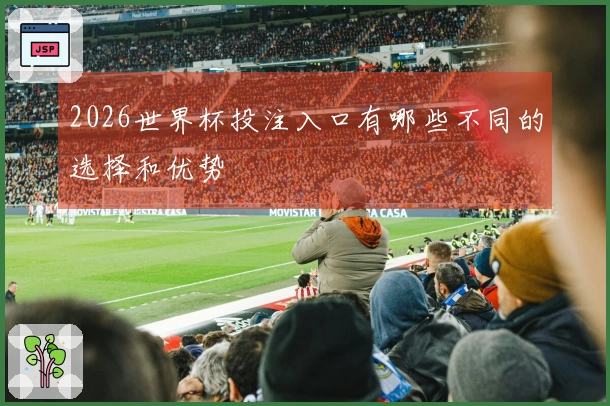 2026世界杯投注入口有哪些不同的选择和优势