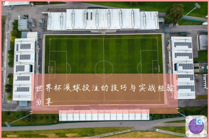 世界杯滚球投注的技巧与实战经验分享