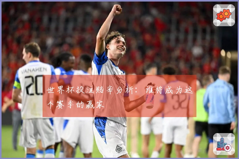 世界杯投注赔率分析：谁将成为这个赛季的赢家