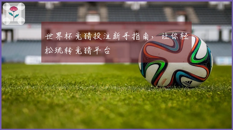 世界杯竞猜投注新手指南，让你轻松玩转竞猜平台