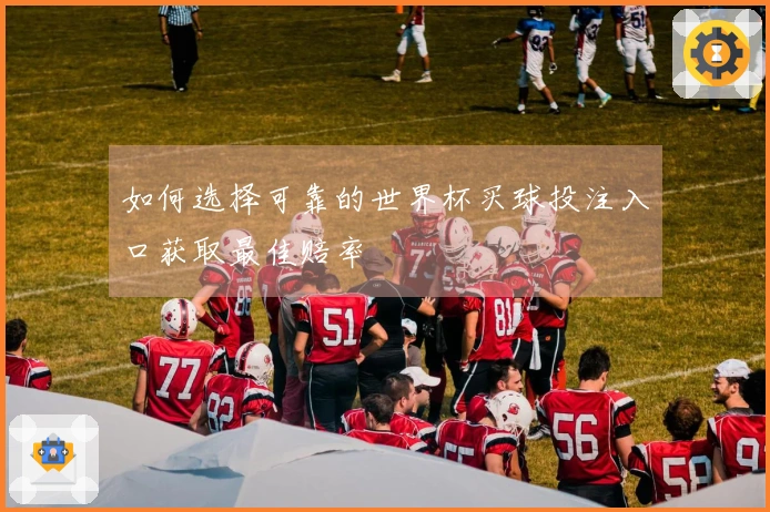 如何选择可靠的世界杯买球投注入口获取最佳赔率