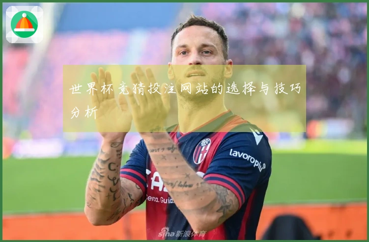 世界杯竞猜投注网站的选择与技巧分析